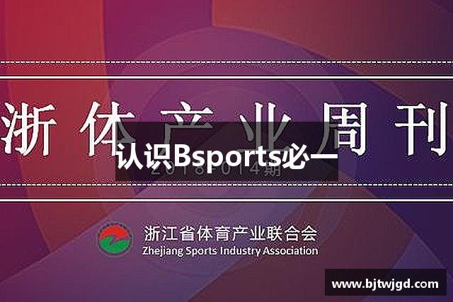 认识Bsports必一